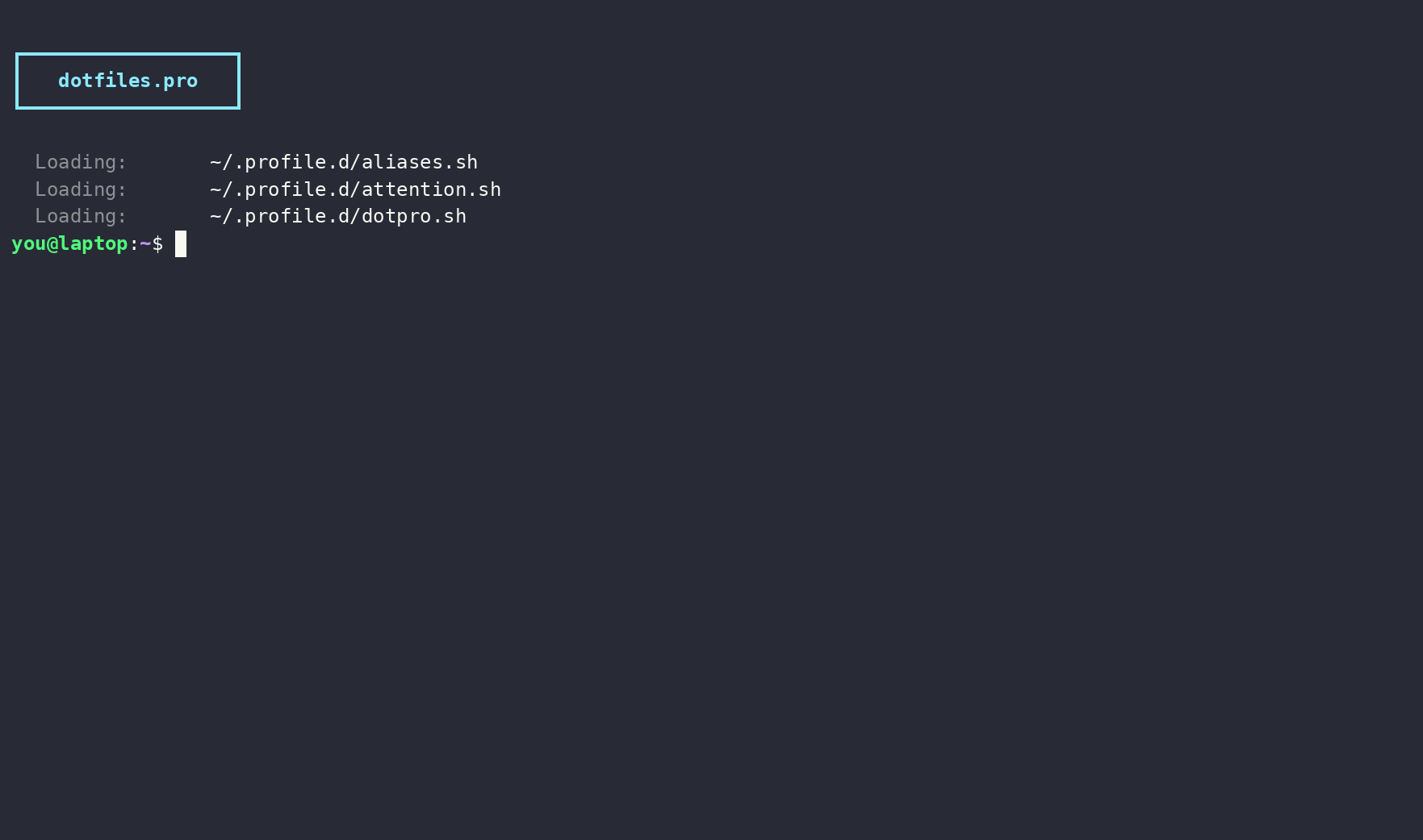bash role demo: the profile.d startup, the generated layout, and the version history